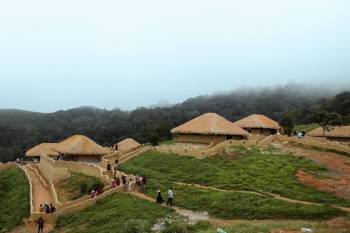 Ooty - Wayanad 5 Days Tour Package