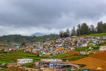 Ooty - Wayanad 5 Days Tour Package