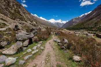 Shangarh ! Hidden Gem of Himachal Pradesh