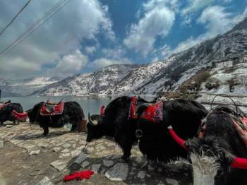 Discover Offbeat Sikkim
