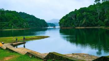 Thekkady Tour Packages