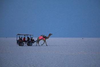 Rann Utsav Kutch Season Special