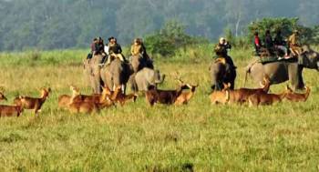 3 Night 4 Day Kaziranga Tour