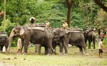 7 Days Assam - Meghalaya Tour