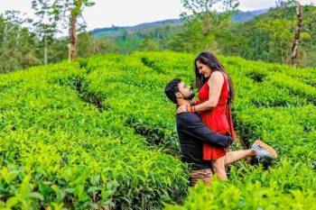 Kochi Tour Packages