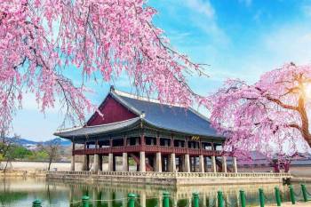 Majestic Korea 6 Night - 7 Days Tour