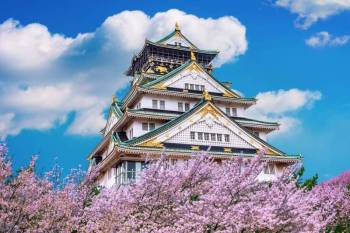 Amazing Japan 7 Night - 8 Days Tour