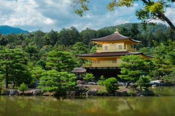 Majestic Japan 6 Nights 7 Days Tour