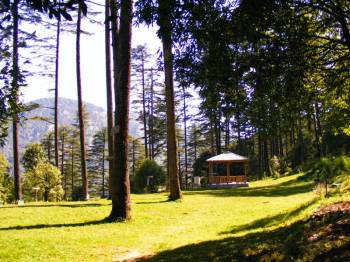 Dhanaulti Tour Package 2 Nights - 3 Days