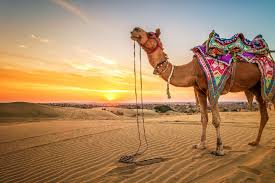 7 Nights 8 Days Jaipur Jodhpur Jaisalmer Udaipur