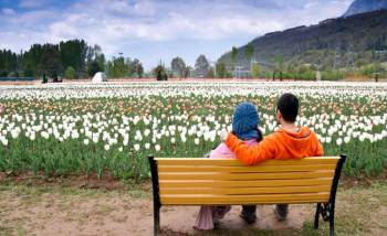 Kashmir Himalayan Tour Package