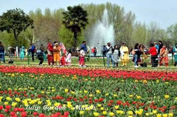 Kashmir Himalayan Tour Package