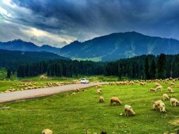 Kashmir Himalayan Tour Package