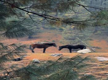 10 Days Hidden Gems Of Kashmir Tour