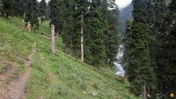 Mata Vaishno Devi And Kashmir Tour