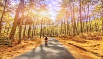 6 Night - 7 Day Way To Bhutan Tour