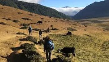 9 Nights - 10 Days Hiking - Walking Tour
