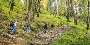 Kheerganga Tour Packages