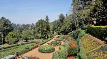 Ooty Tour Package For Three Days