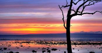 3Night Andaman Tour - Port Blair - Havelock - Wandoor - Chidiyatapu Beach