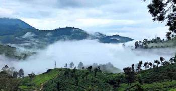 4 Nights 5 Days Kerala - Munnar - Thekkady And Alleppey Tour