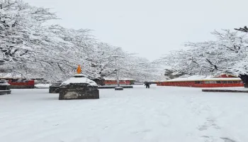 Manimahesh Yatra 2026 & Best Manimahesh Kailash Trek Package from Pathankot | Trek Cost & Booking