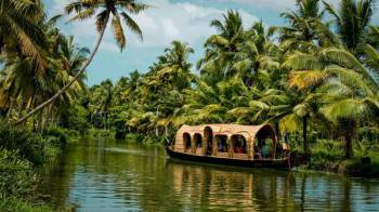 Thekkady Tour Packages