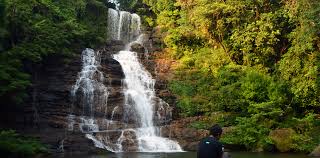 Assam Explorer Tour Package 4 Night - 5 Days