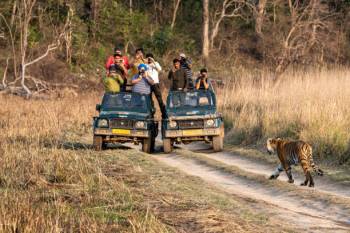 Corbett Rajaji wildlife safari Tour