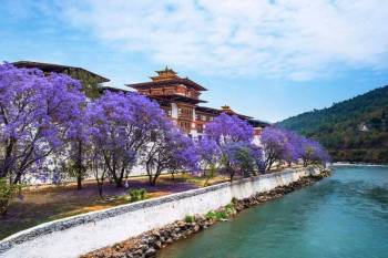 Punakha Tour Packages