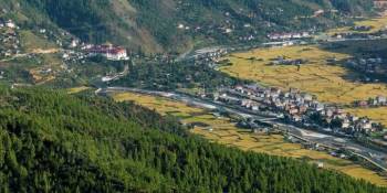 Punakha Tour Packages