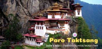 Punakha Tour Packages