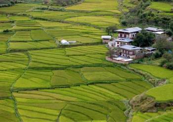 Phuentsholing Tour Packages