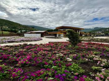 Punakha Tour Packages