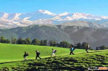 4 Nights - 5 Days Dayara Bugyal Trek Tour