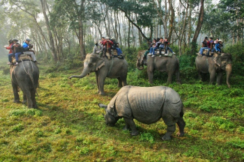 Chitwan Tour Packages