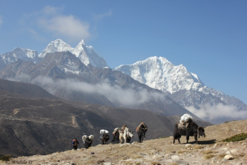 Everest Pinnacle Base