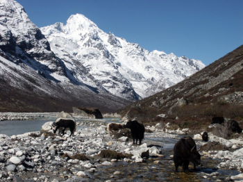 Langtang Valley Adventure Tour