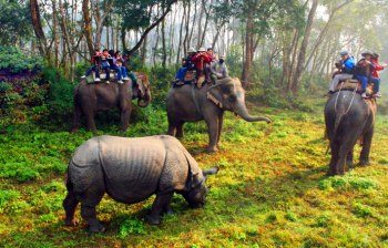 Chitwan Tour Packages