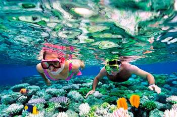 Andaman 7 Night 8 Day Package