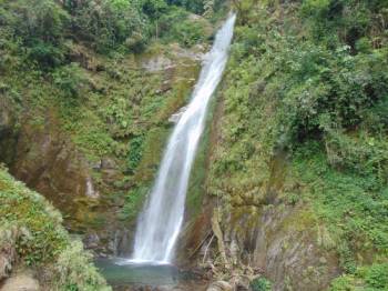 Dooars & Kalimpong Off Beat Tour Package 5 Nights 6 Days