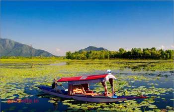 4 Nights 5 Days Kashmir Tour