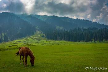 6 Nights 7 Days Kashmir Tour