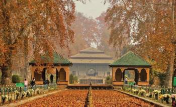 3 Nights - 4 Days Kashmir Tour