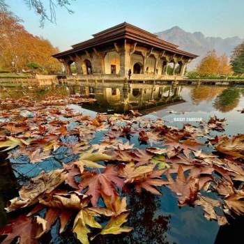 5 Nights - 6 Days Kashmir Tour