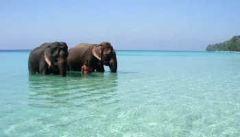 4 Nights - 5 Days Andaman Package