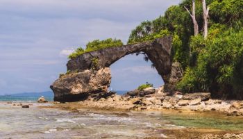 Havelock Tour Packages