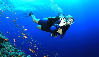 Havelock Tour Packages