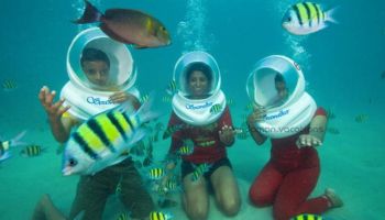 Havelock Tour Packages