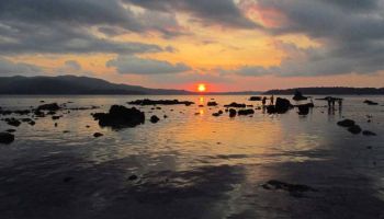 Havelock Tour Packages